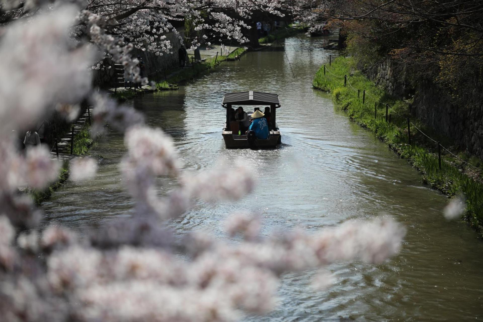 ゲストハウス桜 Guest House Sakura 便利な立地 貸し切り 近江八幡市 エクステリア 写真